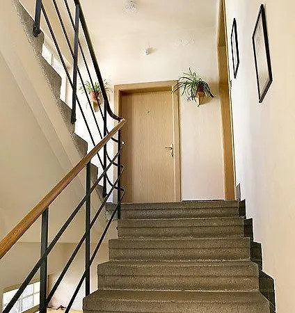 Guest house Lobo 2*